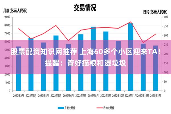 股票配资知识网推荐 上海60多个小区迎来TA！提醒：管好猫粮和湿垃圾