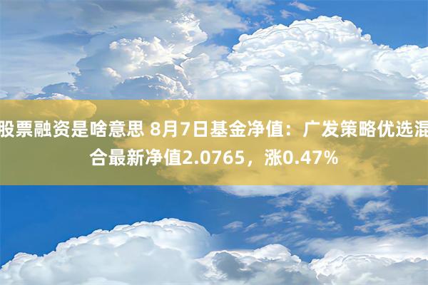 股票融资是啥意思 8月7日基金净值：广发策略优选混合最新净值2.0765，涨0.47%