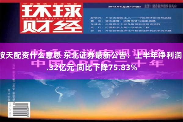 按天配资什么意思 东北证券最新公告：上半年净利润1.32亿元 同比下降75.83%