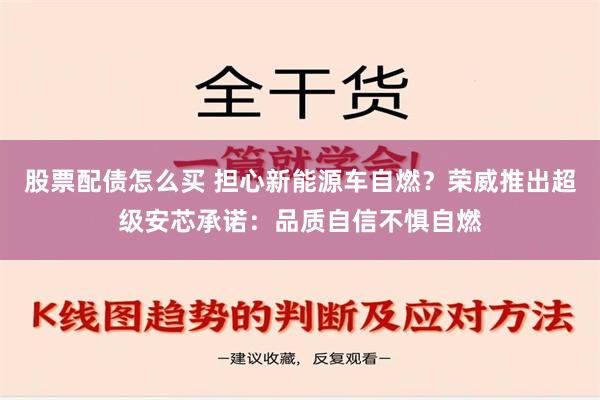 股票配债怎么买 担心新能源车自燃？荣威推出超级安芯承诺：品质自信不惧自燃