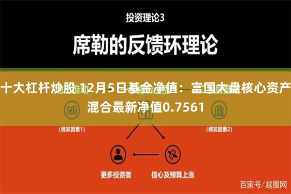 十大杠杆炒股 12月5日基金净值：富国大盘核心资产混合最新净值0.7561