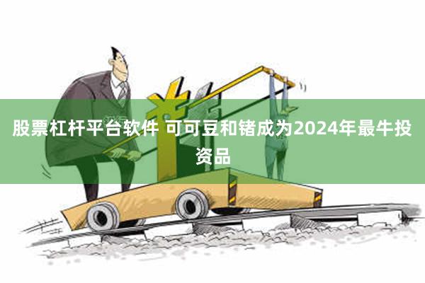 股票杠杆平台软件 可可豆和锗成为2024年最牛投资品